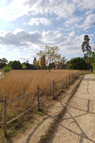 Drum Grau: A Serene Pathway Through Nature 🌾🌳