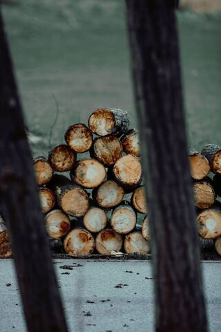 Wood Logs 2