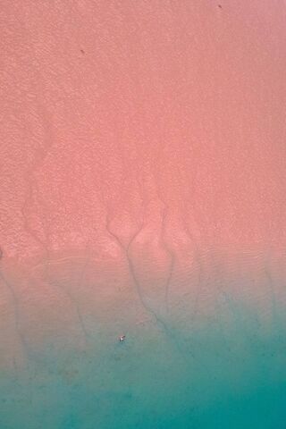 Serenity of Blue Veins 🌊✨