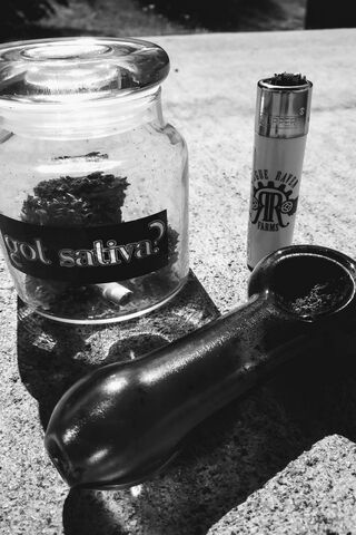 Elevate Your Vibe 🌿✨