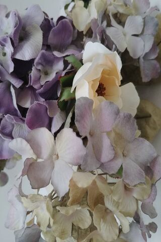 Whispers of Hydrangea: Nature's Colorful Canvas 🌸💜