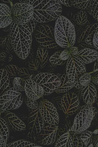Whispers of Nature: A Leafy Tapestry 🍃✨