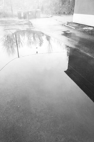 Foggy Reflection