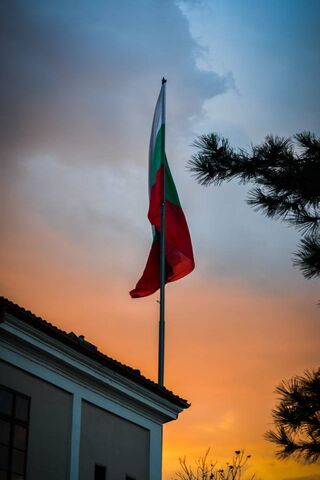 Bulgarian Flag 2