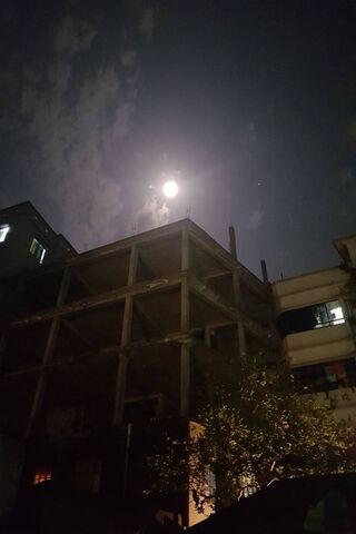 ليلة ضوء القمر
