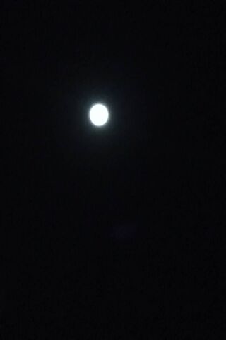 Bright Moon