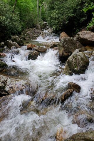 Nature's Cascade: The Serenity of Waterfalls 🌊🍃