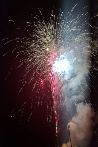 Sky Blossoms: A Night of Celebration 🎆