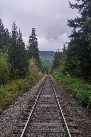 Journey Through the Green: A Railroad Adventure 🚂🌲