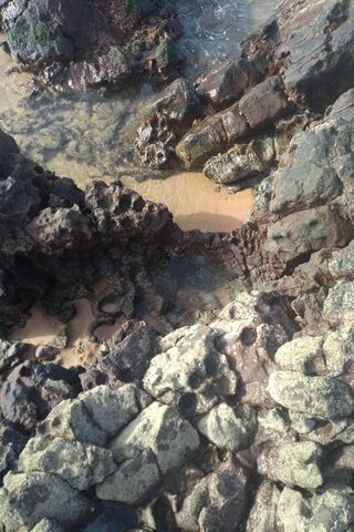 Nature's Mosaic: The Beauty of Pedras Do Mar 🌊✨