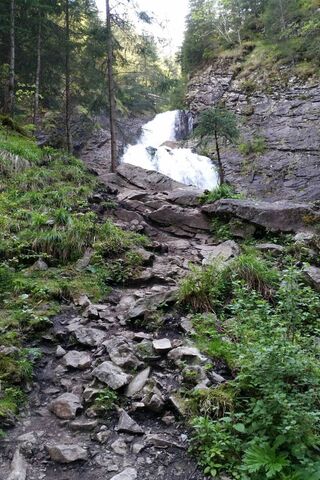 Serenity in the Wilderness 🌲💦