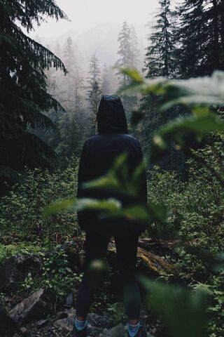 Into the Wild: A Journe..