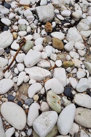 Nature's Canvas: The Beauty of White Rocks