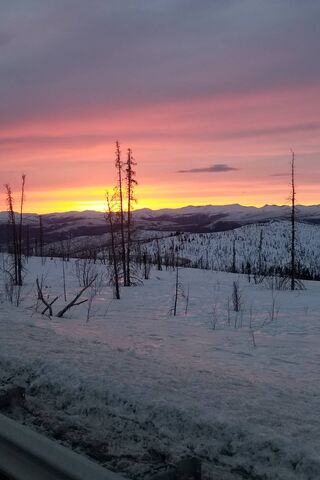 Dawn's Embrace in the Tundra 🌅❄️