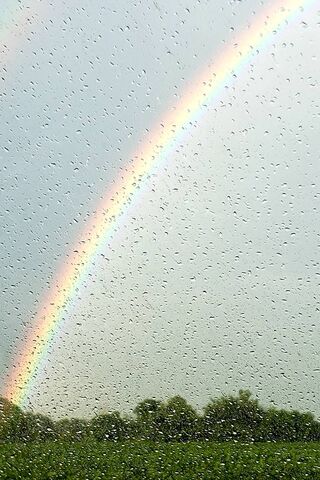 Nature's Colorful Promi..
