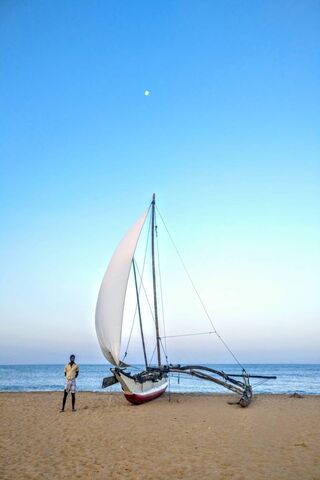 Serenity at Dusk: The Sail Boat of Sri Lanka 🌅⛵