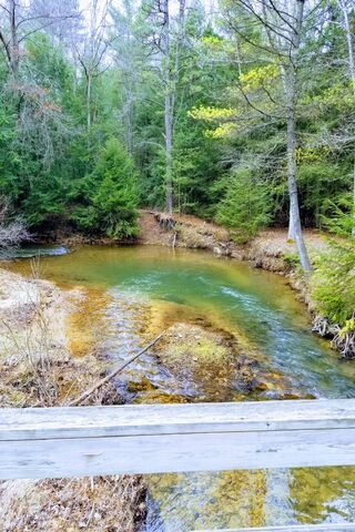 Tranquil Stream in Nature's Embrace 🌲💧