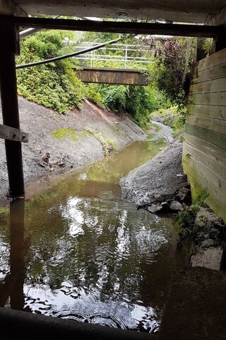 Hidden Waterways: A Journey Beneath