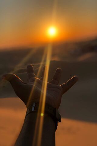 Golden Horizons: Embracing the Desert Glow