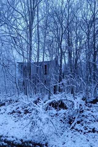 Snowy Abandon House
