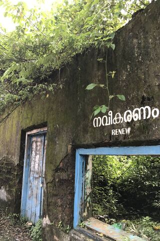 Whispers of India's Past: Nature's Embrace