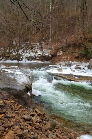 Cranberry River: Nature's Serene Escape 🌊🍂