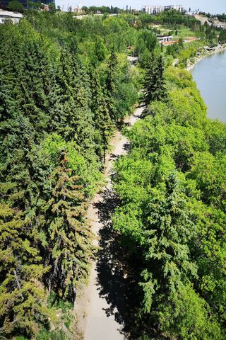 Nature's Pathway: A Serene Walking Trail 🌳🚶