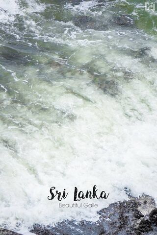 Waves of Serenity: Disc..