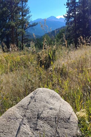 Embrace the Serenity of Nature 🌿