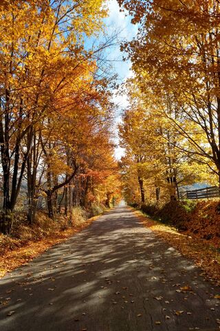 Autumn Bliss in Pennsylvania 🍂✨