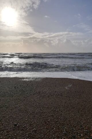 Bop by the Shore 🌊☀️