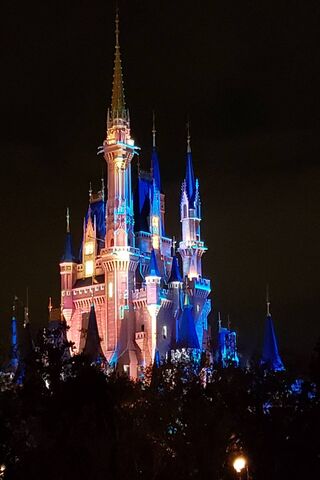 Cinderellas Castle