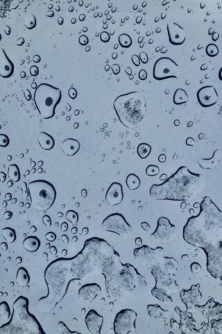 Nature's Tiny Jewels: Waterdrop Wonders 💧✨