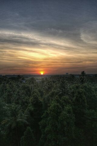 Golden Horizon: A Sunset to Remember 🌅✨