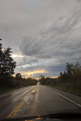 Nature's Canvas: After the Rain