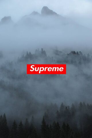 Supreme 19