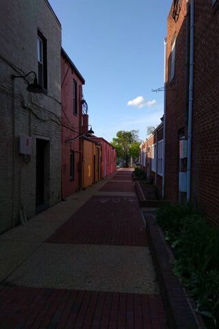 Charming Alleyways of Downtown 🌆✨