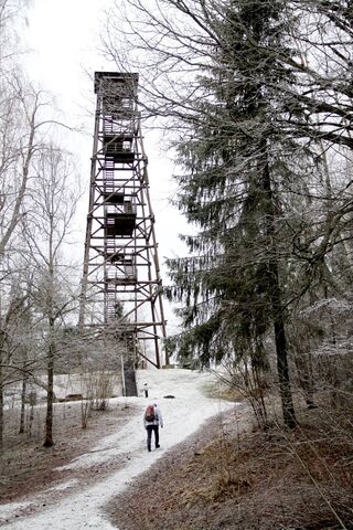 Winter's Watchtower: A Journey to Natale