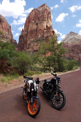 Riding the Red Rocks: A Journey Through Zion
