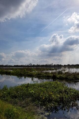 Serenity Under Nature's Canvas 🌤️🌿