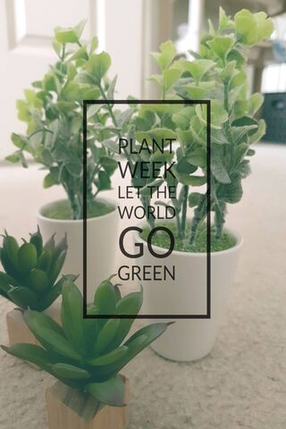 Embrace Nature: Plant Week Celebration 🌿🌍