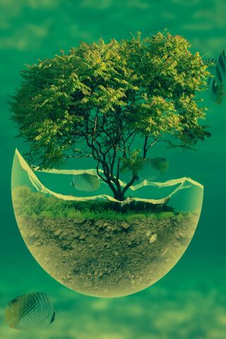 Ethereal Oasis: A Dreamy Escape