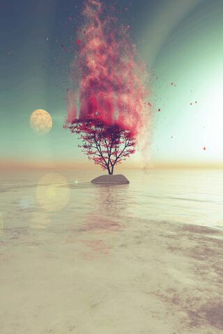 Ethereal Harmony
