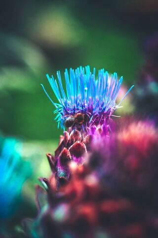 The Vibrant Essence of Life 🌸✨