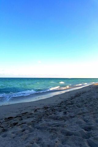 Sunny Shores and Ocean Roars 🌊☀️