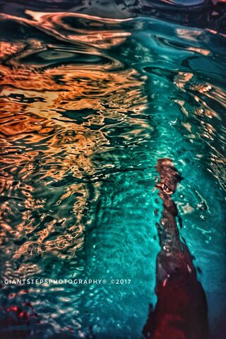 Rippling Reflections: A Dance of Colors