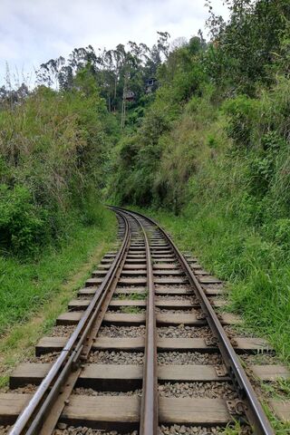 Journey Through Nature: The Enchanted Railway