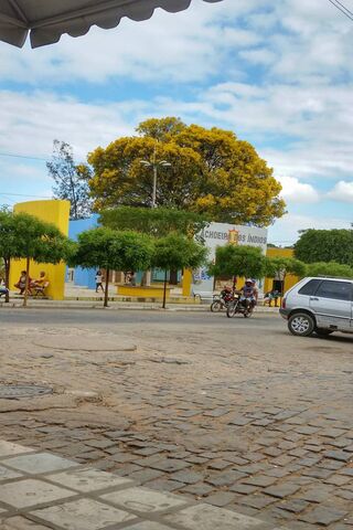 Vibrant Vistas of Paraíba 🌳✨