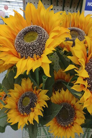 Everlasting Sunshine: A Bouquet of Artificial Sunflowers 🌻✨