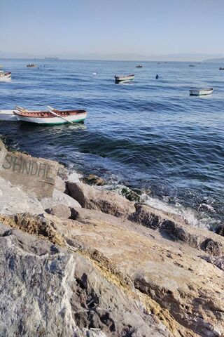 Tranquil Tides: A Seashore Escape 🌊